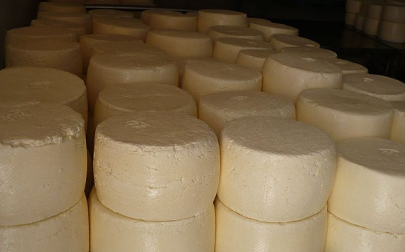 В Подмосковье 850 млн рублей вложат в производство сыра