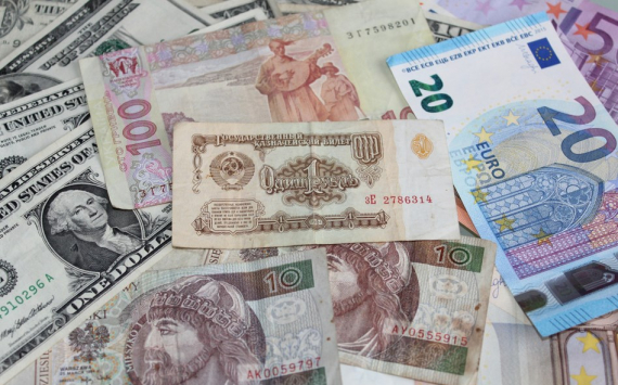 Экономист Масленников объяснил причину выбора Банком России новозеландского доллара