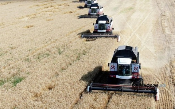 Аналитик назвал самые перспективные направления экспорта российского зерна