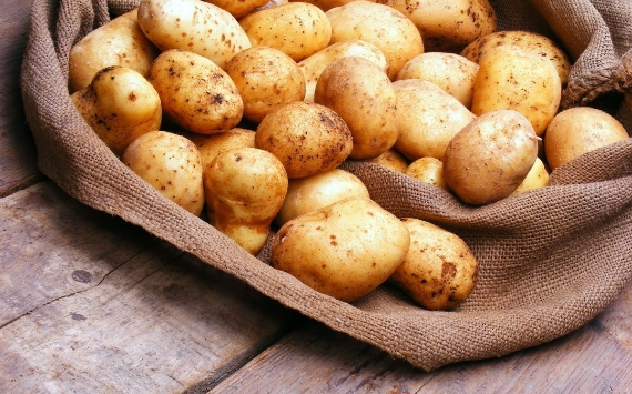 Импортного картофеля в магазинах РФ может стать меньше