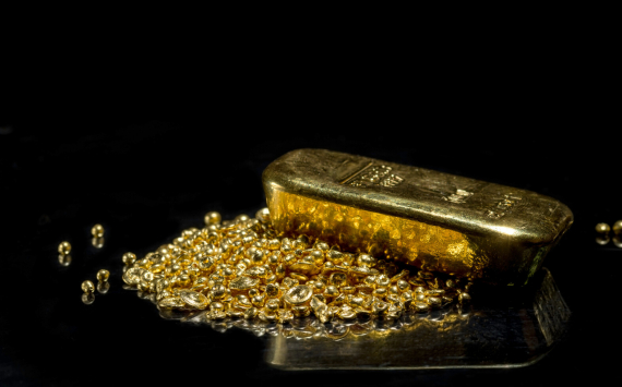 Проект, разрешающий добычу золота физическим лицам, получил одобрение