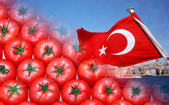 Овощеводы переживают по поводу повышения квоты на импорт томатов из Турции