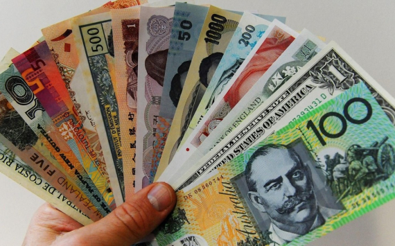 Эксперты назвали возможную причину возобновления покупки иностранной валюты Минфином