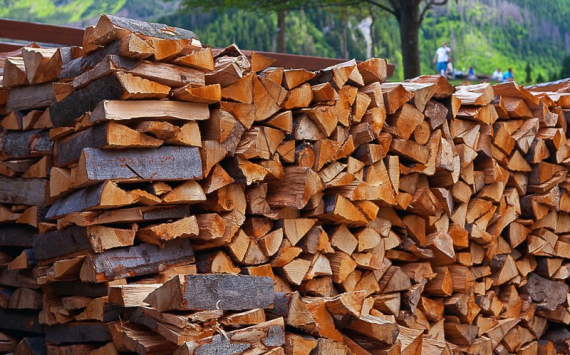 В Домодедово 20 млн рублей вложили в деревообрабатывающие производство