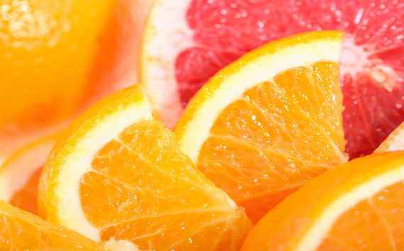 FESCO планирует начать доставку фруктов из Марокко в Россию с конца 2023 года