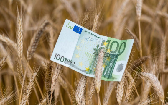 Александр Дудчак рассказал о предложении Литвы по поводу зерновой сделки