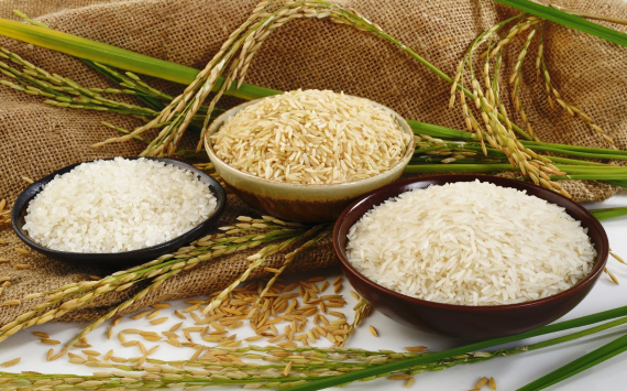 Леонид Холод раскрыл причины временного запрета российских властей на экспорт риса
