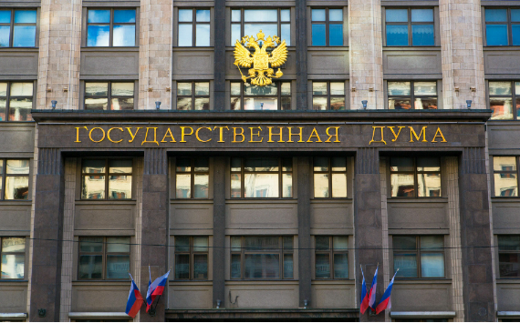 В Госдуме объяснили важность ограничения участия иностранцев в исследовании рынка России