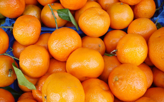 Стоимость апельсинов в России достигла рекордных значений