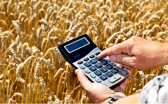 Правительство России утвердило перечень сельхозпродукции для расчета через спецсчета