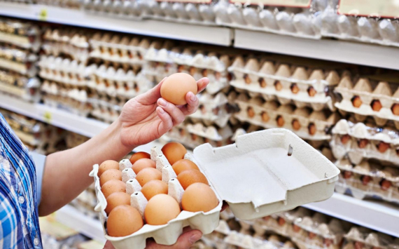 Производители яиц столкнутся с проверками Генпрокуратуры из-за роста цен