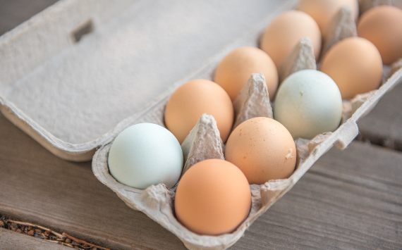 В Министерстве сельского хозяйства заявили о снижении цен на яйца в ближайшее время