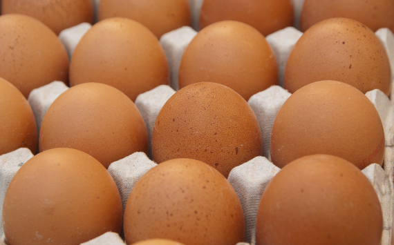 Казахстан может увеличить поставки яиц в Россию