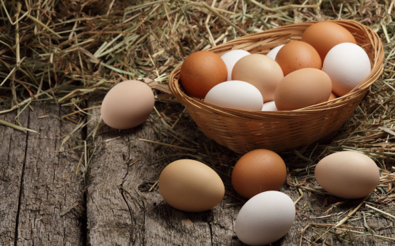 Цены на куриные яйца в России вновь изменились