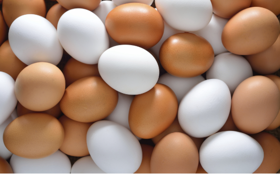 В Минсельхозе заявили, что не будут досрочно отменять обнуление пошлины на яйца