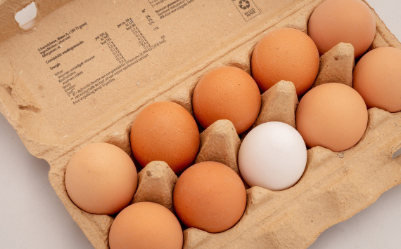 В России доступны разные варианты импортных яиц