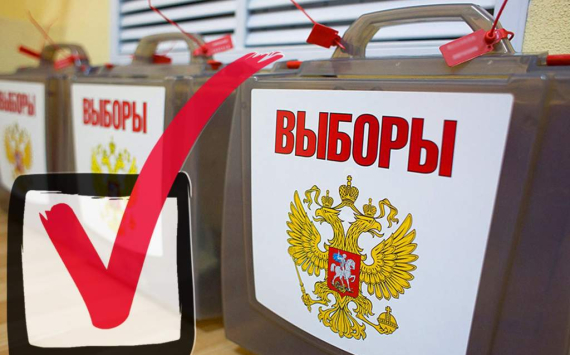В Приамурье досрочно успело проголосовать более 3 тысяч человек