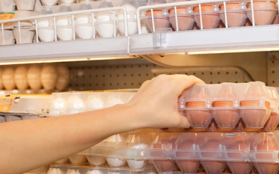 В российских магазинах уменьшились цены на куриные яйца