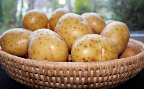 В Талдомском округе построят новое картофелехранилище