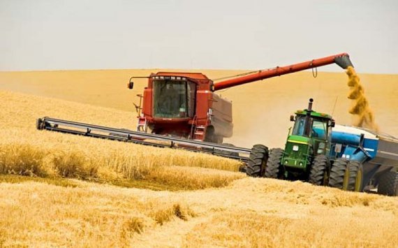 Министр сельского хозяйства России предлагает повысить экспорт зерна до 70 млн тонн