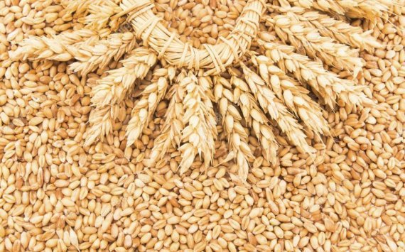 Ткачев: Урожай зерна 2018 года может превысить 100 млн тонн