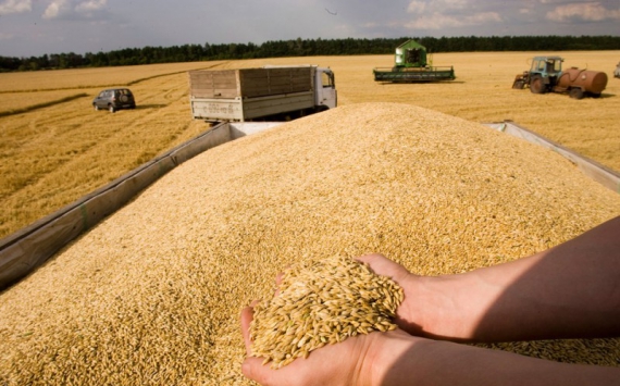 Минсельхоз прогнозирует в 2018 году экспорт 44 млн т зерна 