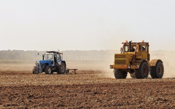 В Прикамье аграриям возместят 5972 рублей за расчистку каждого гектара сельхозземель‍