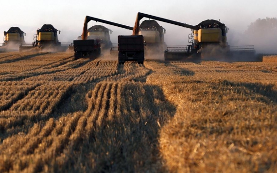В России экспорт сельхозпродукции с начала года вырос на 29,2% 