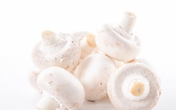 В Тульской области открылось предприятие по производству грибов‍