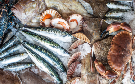 В Приморье рыба начнет продаваться по социальным ценам