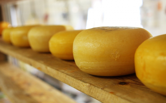 Разин: Подмосковье хочет стать лидером по производству сыра