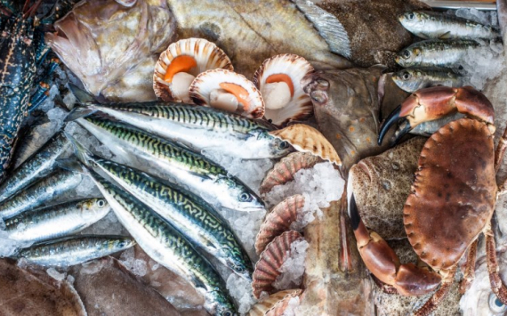 Проект «Приморская рыба» охватил все муниципалитеты Приморья