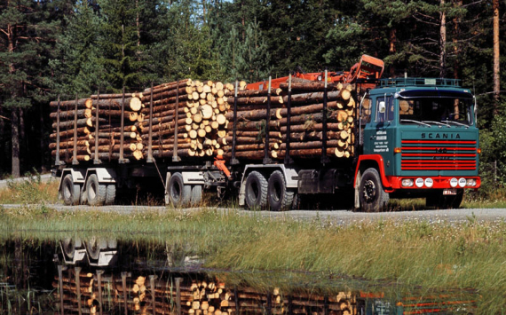 Томские лесопромышленные и аграрные предприятия нарастят объём экспорта