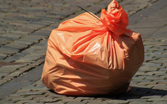 В Хабаровском крае «мусорную реформу» отложили на год