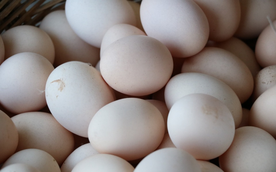 Куйвашев пообещал не допустить необоснованного роста стоимости яиц