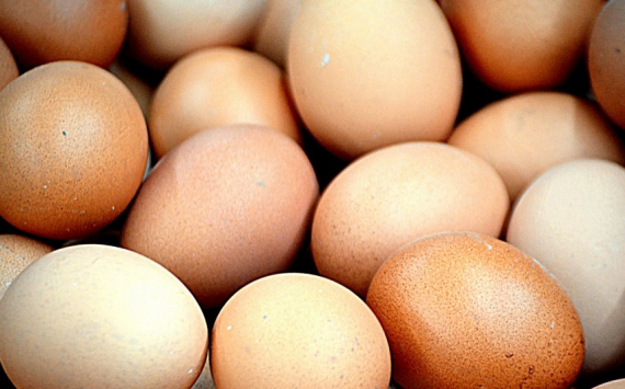 В Нижегородской области яйца подешевели на 1,5%