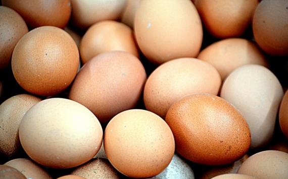 Минпромторг и ФАС не нашли обмана покупателей в «девятке» яиц
