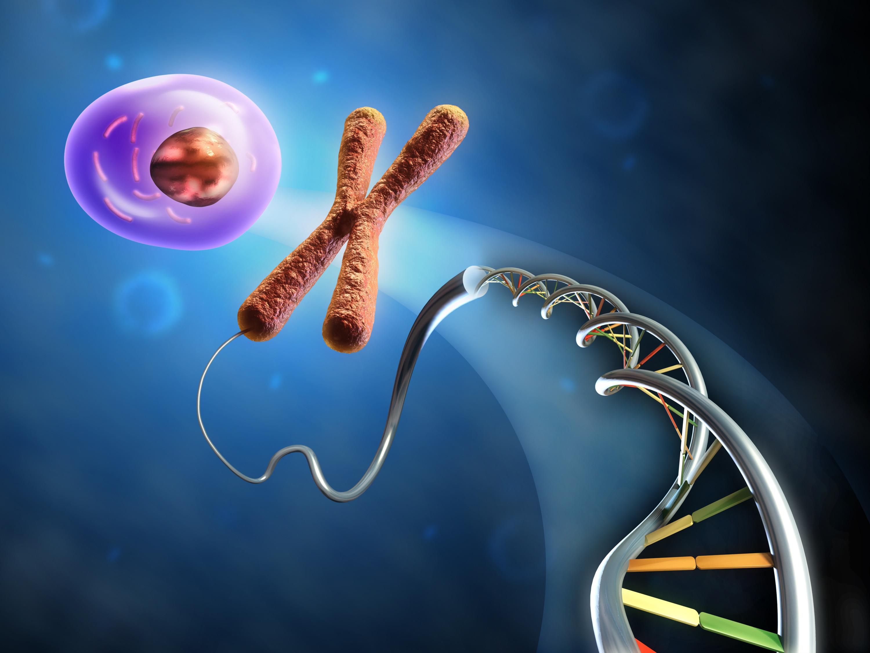 Изменение генома клетки. ДНК генетика биология. ДНК гены геном. Клетка хромосома ДНК.